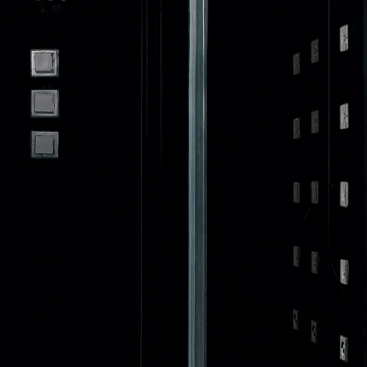 Platinum DZ972 Steam Shower