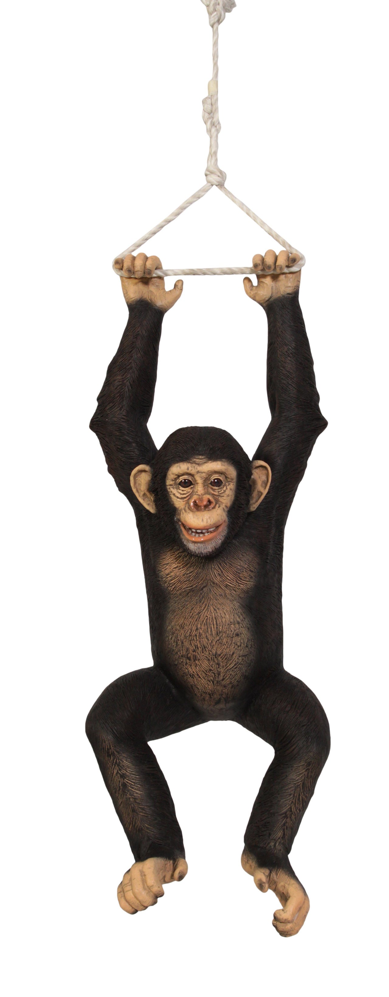 AFD Hanging Jungle Jimmy K Statuary AFD Multi-Colored 