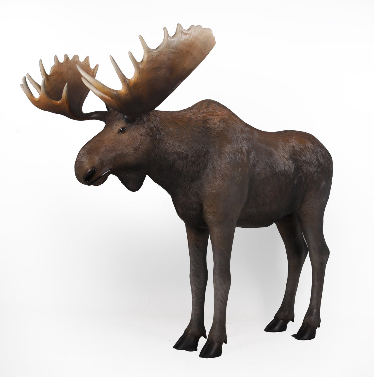 AFD Moose Statuary AFD MULTI COLORED 
