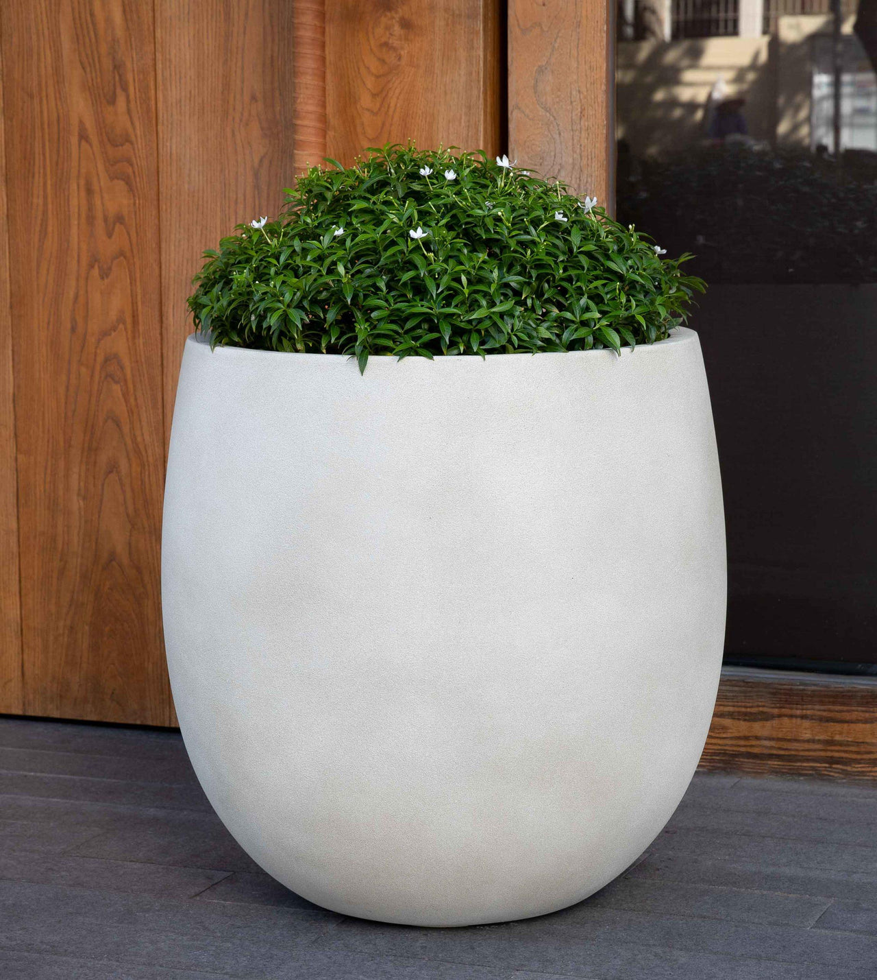 Campania International Fiber Clay Guilford Planter - S/3 Urn/Planter Campania International Ivory Lite Large 