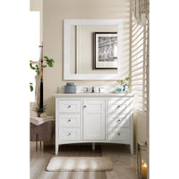 Thumbnail for James Martin Palisades 48