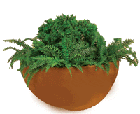 Thumbnail for Deep Bowl Cast Stone Outdoor Garden Planter Planter Tuscan 