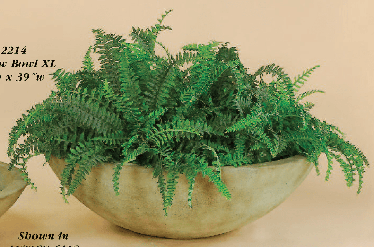 Shallow Bowl Cast Stone Outdoor Garden Planter Planter Tuscan 