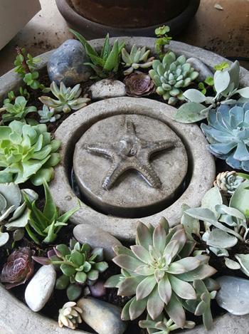 Starfish Vera Fountain, Small Fountain Fiore Stone 