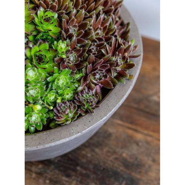 Campania International Fiber Cement Geo Footed Planter - (S/2) Urn/Planter Campania International 