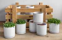 Thumbnail for Campania International Glazed Terra Cotta Small Cylinder Planter Crate – S/16 Urn/Planter Campania International White 