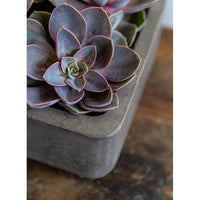 Thumbnail for Campania International Fiber Cement Geo Footed Planter - (S/2) Urn/Planter Campania International 