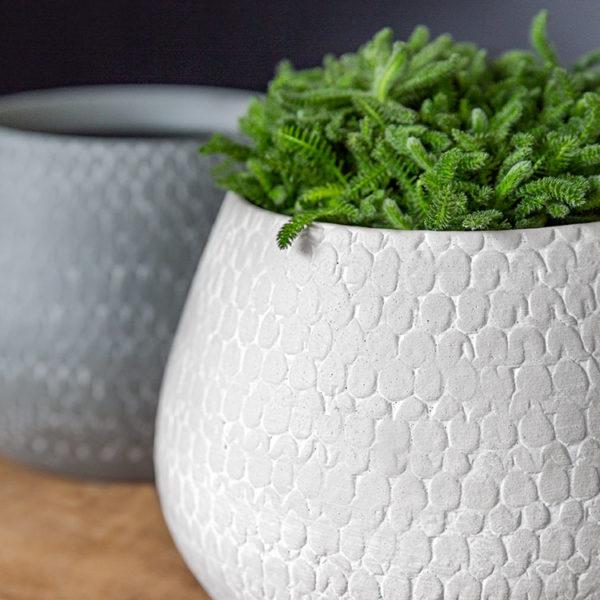Campania International Scalloped Planter - Grey and Eggshell Mix - S/8 Urn/Planter Campania International 