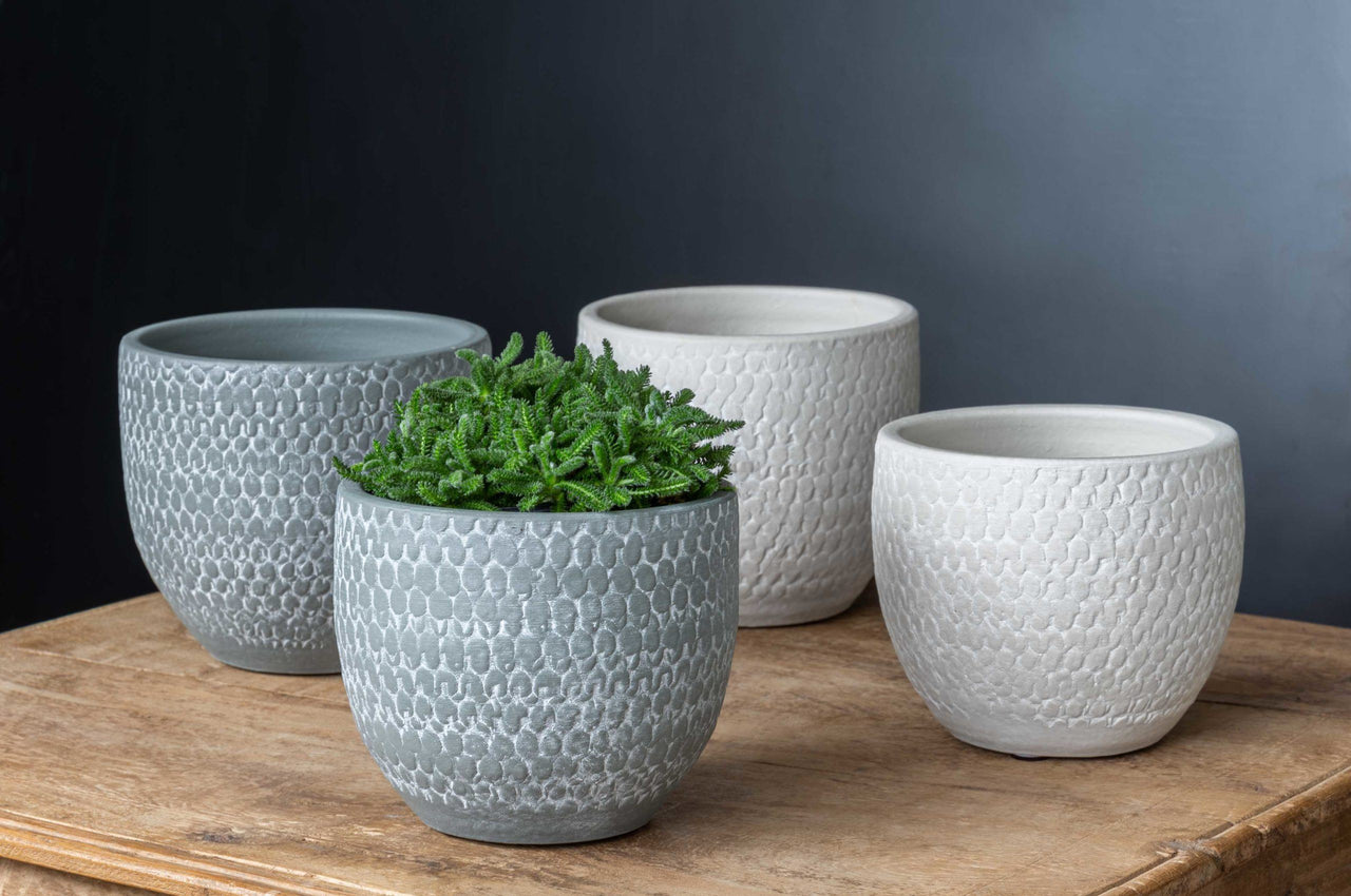 Campania International Scalloped Short Round Planter - Grey and Eggshell Mix - S/8 Urn/Planter Campania International 