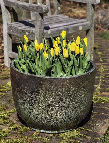 Campania International Glazed Terra cotta Laurier Round Planter Urn/Planter Campania International 