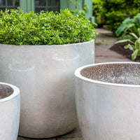 Thumbnail for Campania International Rafi Planter Planter Campania International 