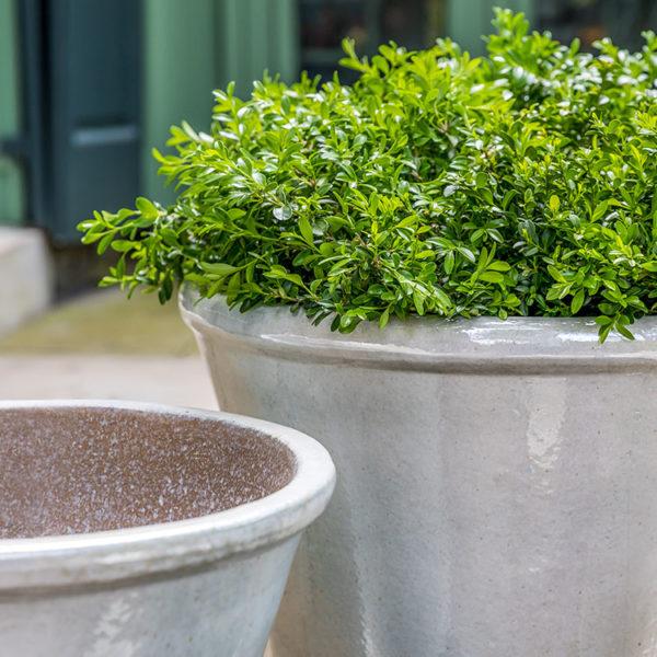 Campania International Valette Planter Planter Campania International 
