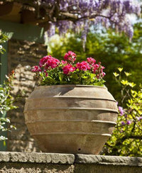 Thumbnail for Campania International Terra cotta Thea Planter Urn/Planter Campania International 