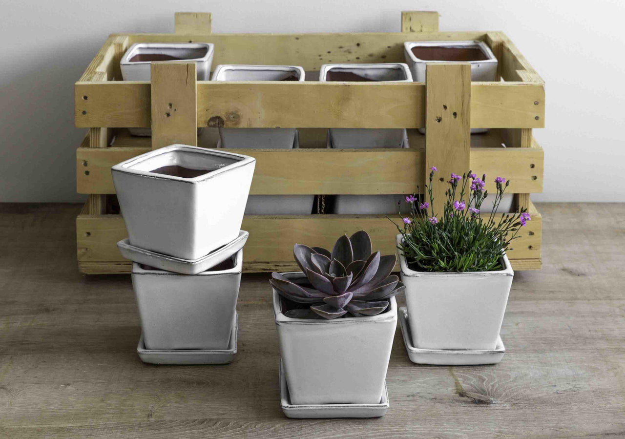 Campania International Glazed Garden Terrace Small White Crate (S/16) Urn/Planter Campania International Square 