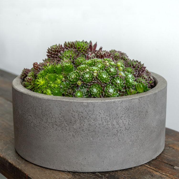 Campania International Fiber Cement Geo Footed Planter - (S/2) Urn/Planter Campania International Cylinder 