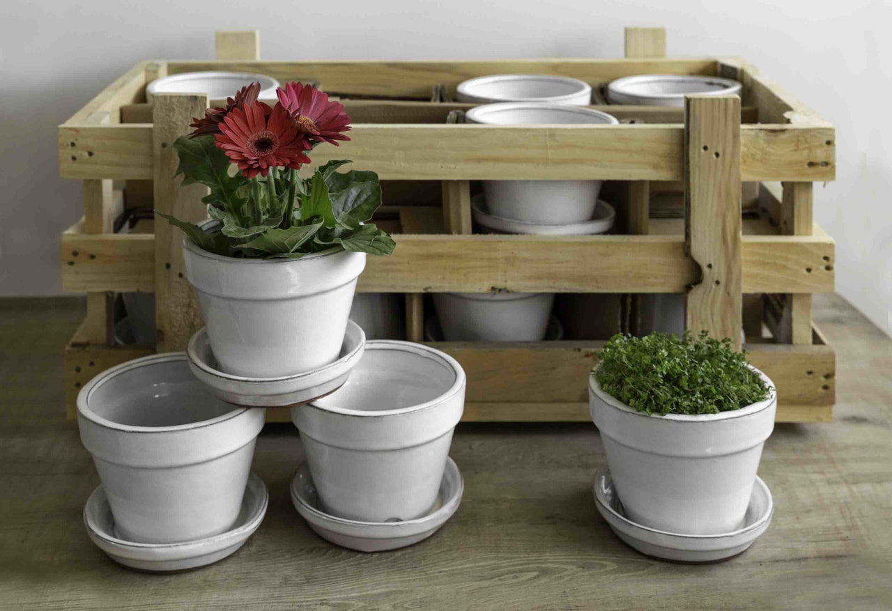 Campania International Glazed Garden Terrace Small White Crate (S/16) Urn/Planter Campania International Round 