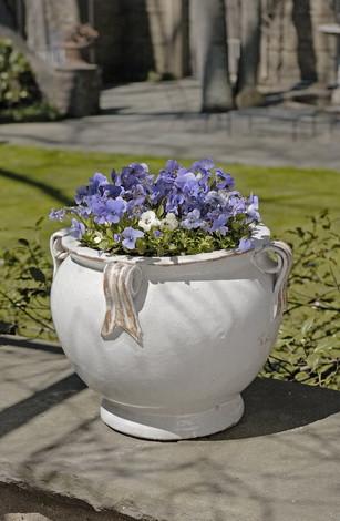 Campania International Glazed Terra cotta Round Handle Planter Urn/Planter Campania International 