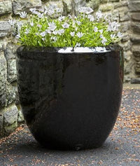 Thumbnail for Campania International Glazed Terra cotta Timolos Rnd Planter Urn/Planter Campania International 