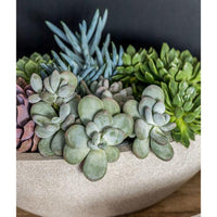Thumbnail for Campania International Oval Planter Urn/Planter Campania International 