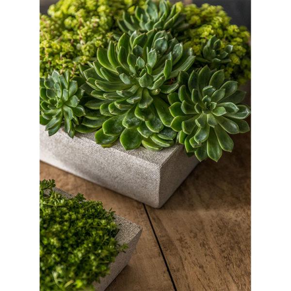 Campania International Playa Low Tapered Planter Urn/Planter Campania International 