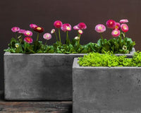 Thumbnail for Campania International Fiber Cement Long Geo Planter Urn/Planter Campania International 