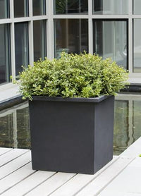 Thumbnail for Campania International Fiber Clay Med Bardo Square Urn/Planter Campania International 