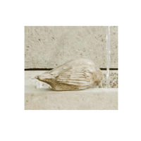 Thumbnail for Campania International Cast Stone Solo Statuary Campania International 