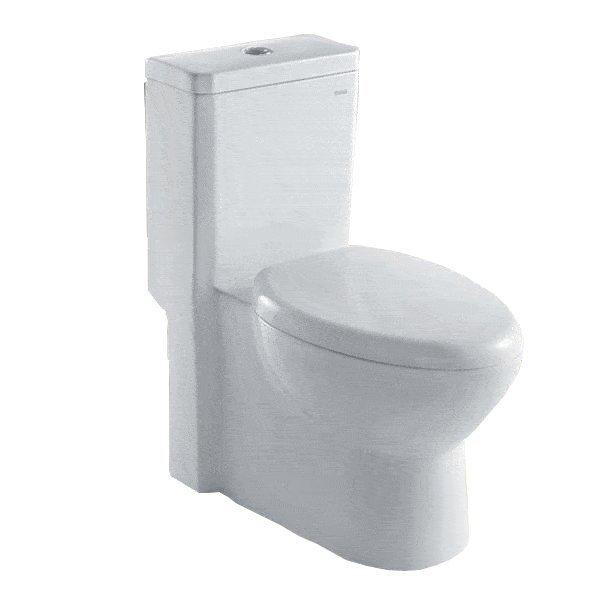 ARIEL Royal CO-1037 Toilet with Dual Flush Toilets ARIEL 