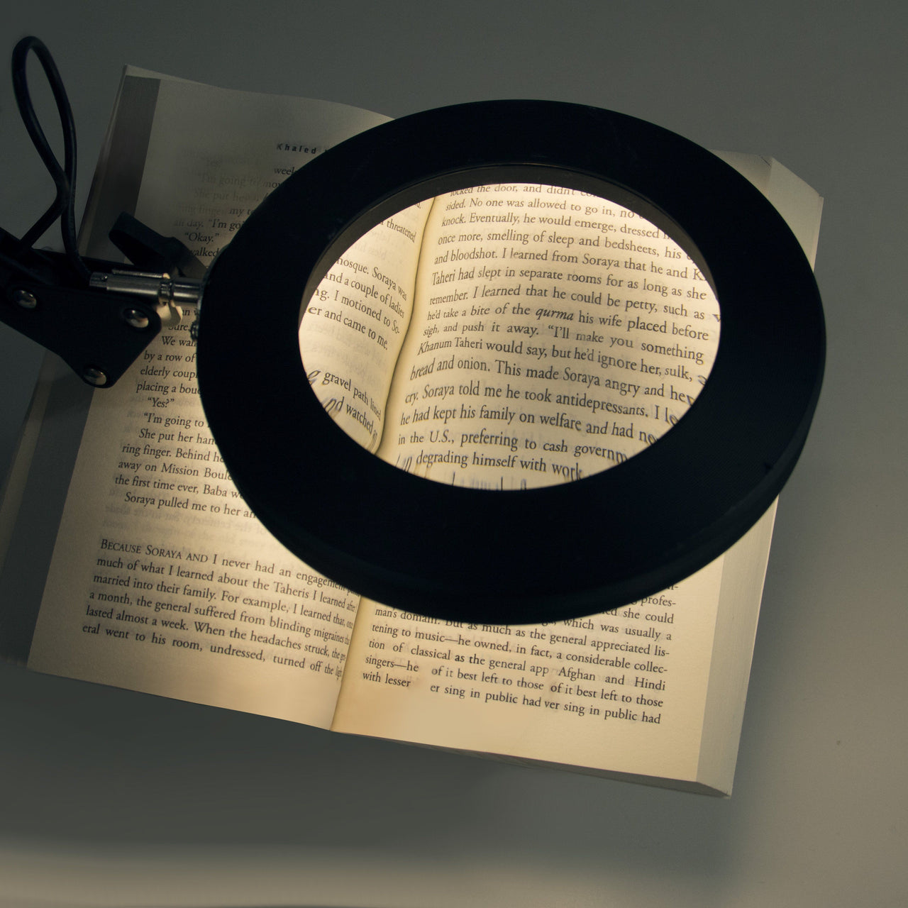 Dahl Magnifier LED Desk Light, Black, Long Adjustable Arm with Enhanced Glass Magnification, Dimmable Ring Lighting for Office, Hobby, Home, or Personal Crafting Desk Lamps Canyon Home 