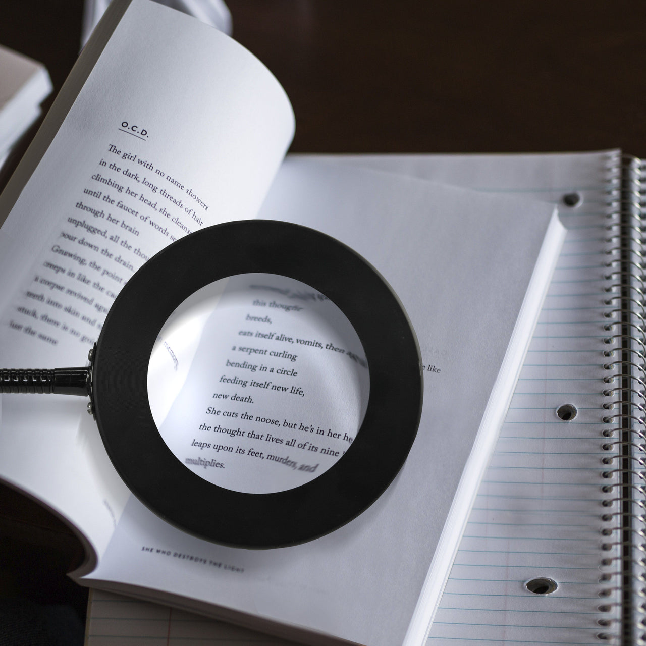 Elden Flexible LED Desk Light with Magnifier, Black, Adjustable Desktop Lamp with Dimmable Brightness, Home, Office or Hobby Collecting Use, Strong Quick Clip Base Desk Lamps Canyon Home 