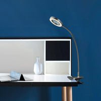 Thumbnail for Estelle Flexible LED Desk Light with Magnifier, Silver, Adjustable Desktop Lamp with Dimmable Brightness, Home, Office or Hobby Collecting Use, Strong Quick Clip Base Desk Lamps Canyon Home 
