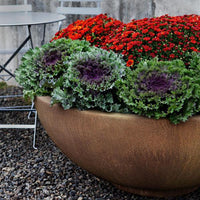 Thumbnail for Campania International Contour Low Bowl Planter Urn/Planter Campania International 