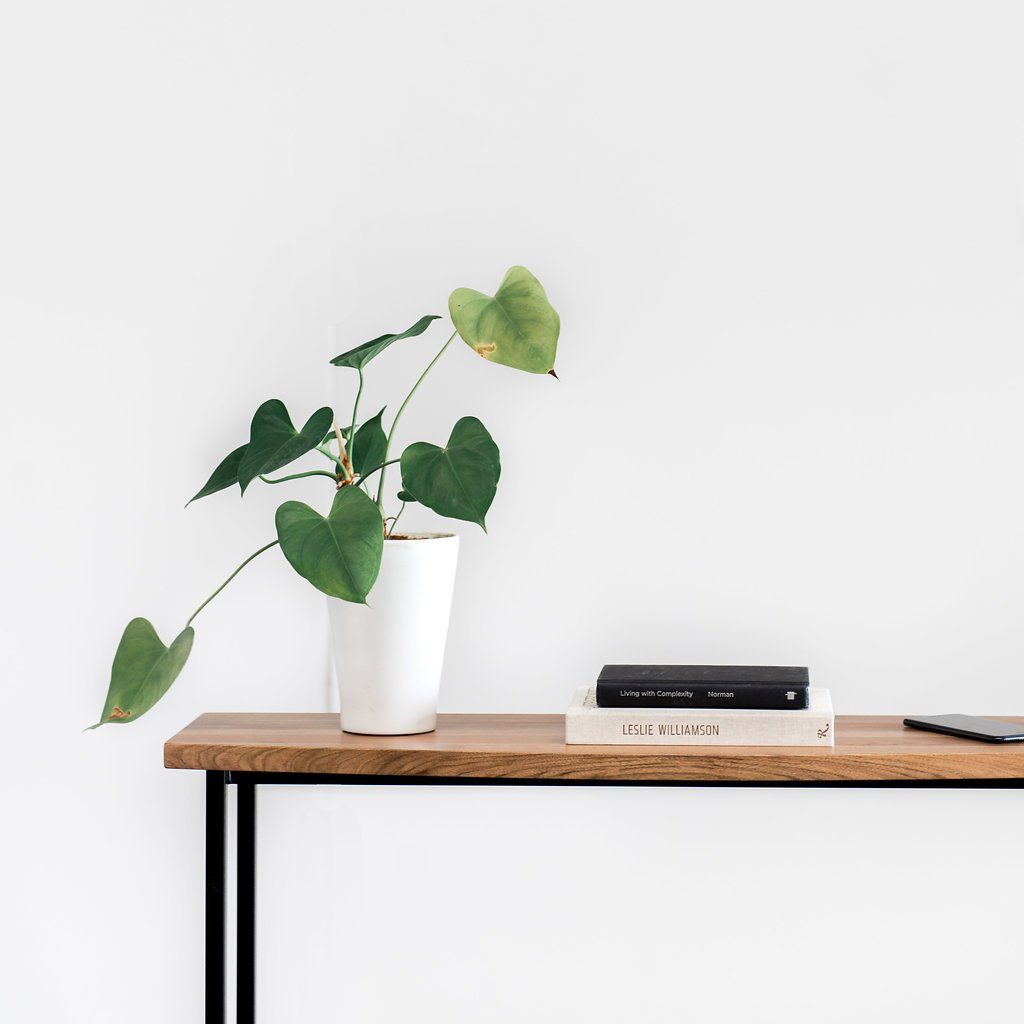 Grace Console Table Console Table Gingko 