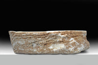 Thumbnail for ANZZI Desert Shell LS-AZ148 Bathroom Sink Bathroom Sink ANZZI 