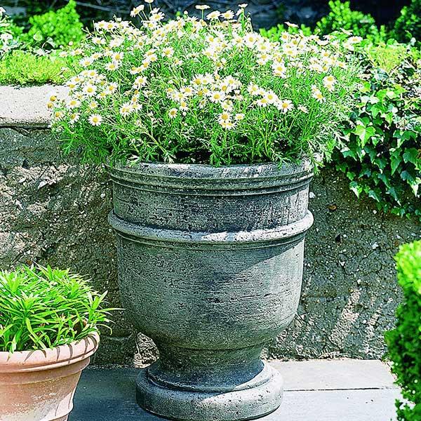 Campania International Cast Stone St. Remy Urn Urn/Planter Campania International 