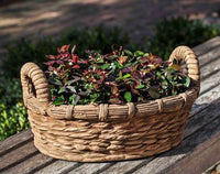 Thumbnail for Campania International Cast Stone Provencal Basket Planter Urn/Planter Campania International 