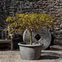 Thumbnail for Campania International Cast Stone Palo Alto Low Planter Urn/Planter Campania International 