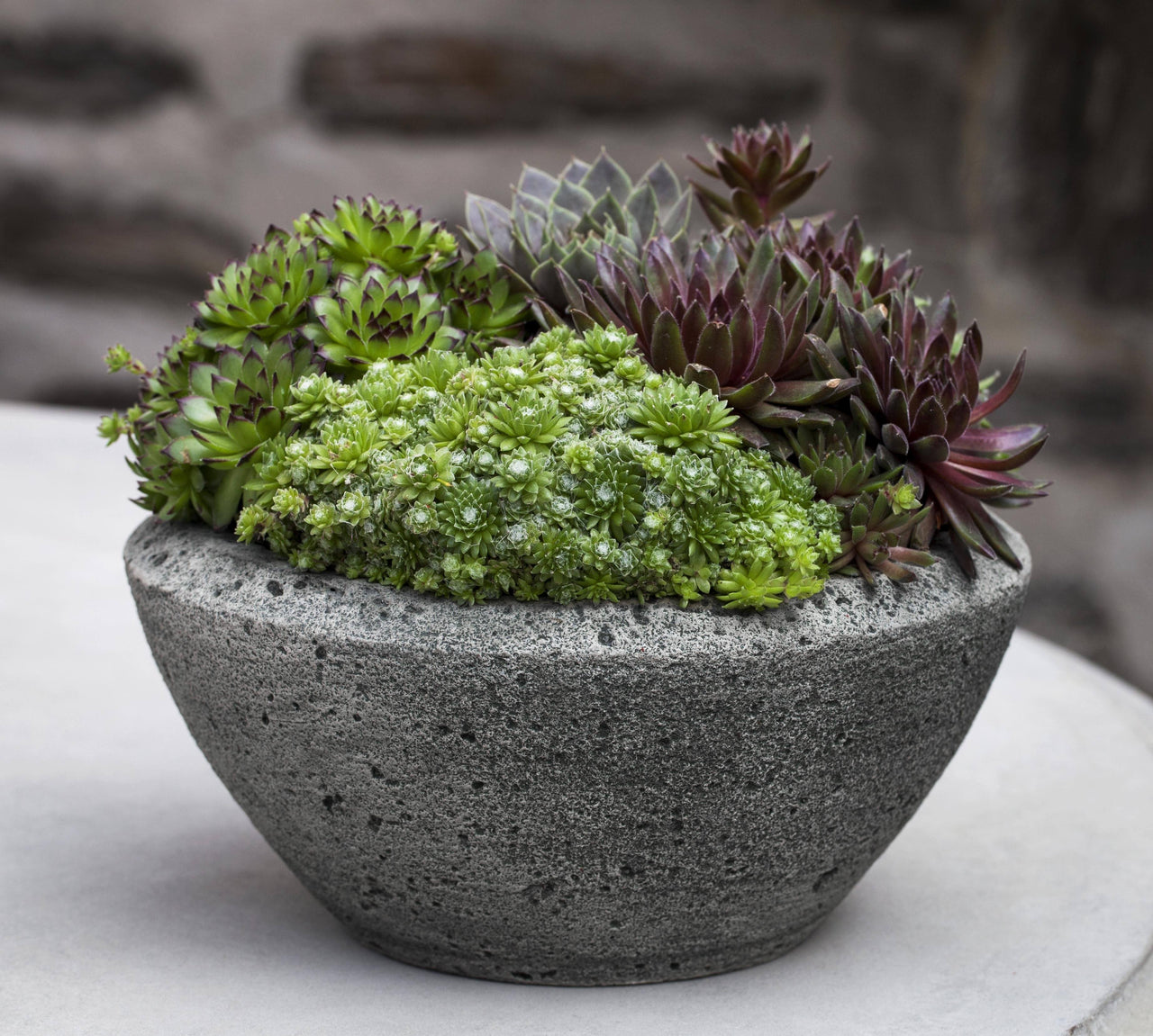 Campania International Cast Stone Rustic Lo Bowl Planter Urn/Planter Campania International 