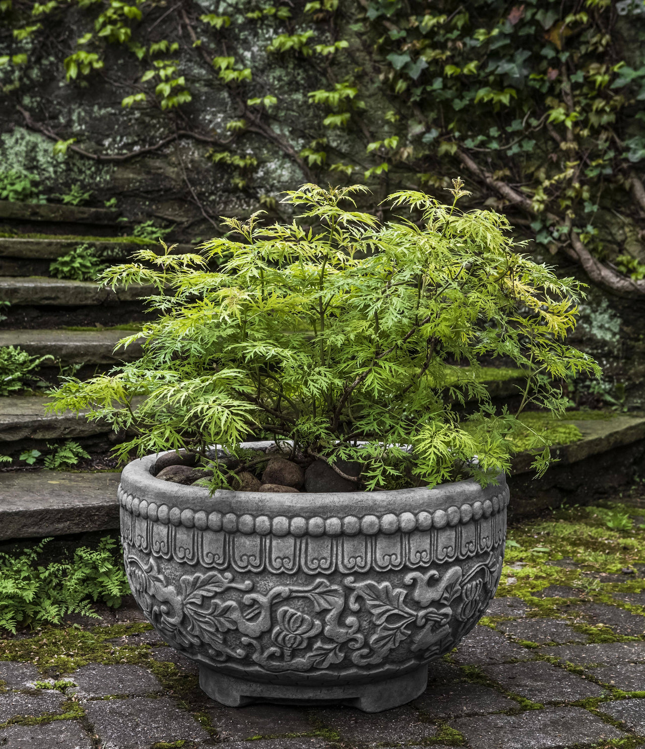 Campania International Cast Stone Jaipur Bowl Planter Urn/Planter Campania International 