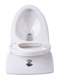 Thumbnail for ANZZI Odin T1-AZ056 Toilets Toilets ANZZI 