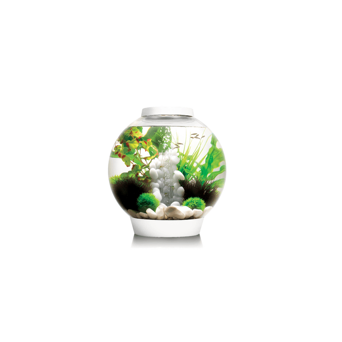 BiOrb Classic 30 MCR Aquarium Blue Thumb 
