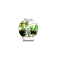 Thumbnail for BiOrb Classic 30 MCR Aquarium Blue Thumb 