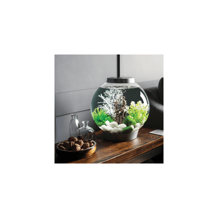 BiOrb Classic 15 MCR Aquarium Blue Thumb 