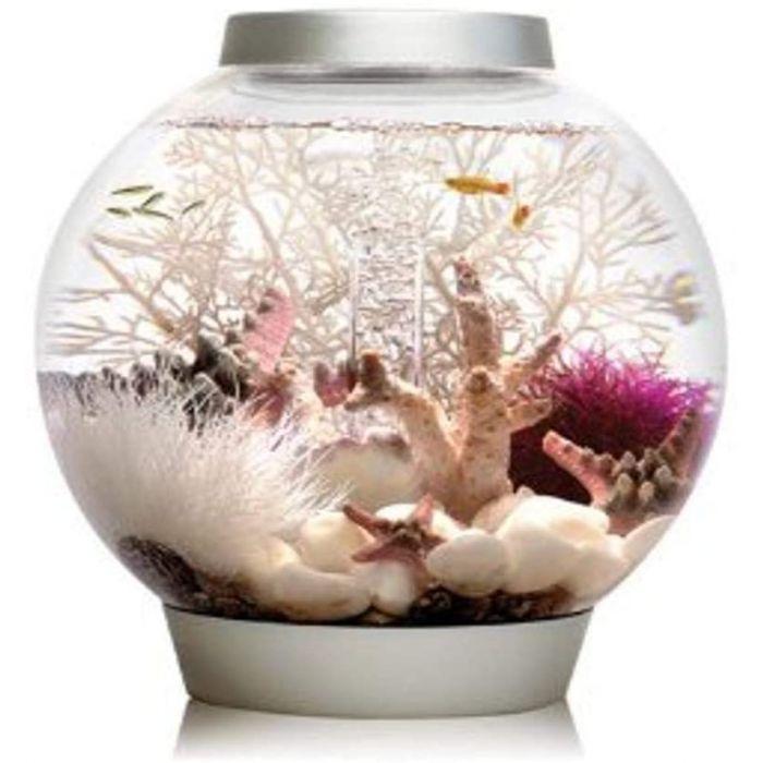 BiOrb Classic 30 LED Aquarium Blue Thumb 
