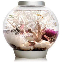Thumbnail for BiOrb Classic 30 LED Aquarium Blue Thumb 