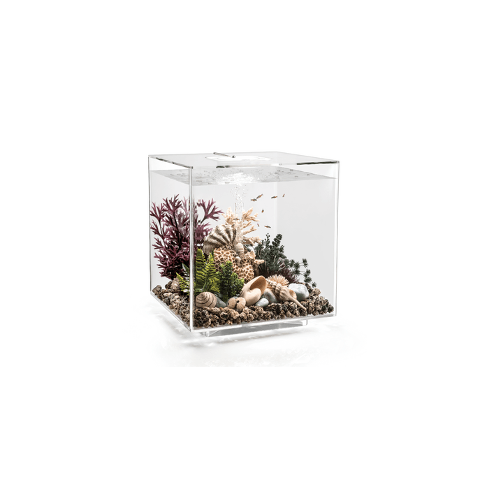 BiOrb Cube 30 MCR Aquarium Blue Thumb 