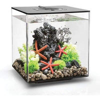 Thumbnail for BiOrb Cube 30 LED Aquarium Blue Thumb 