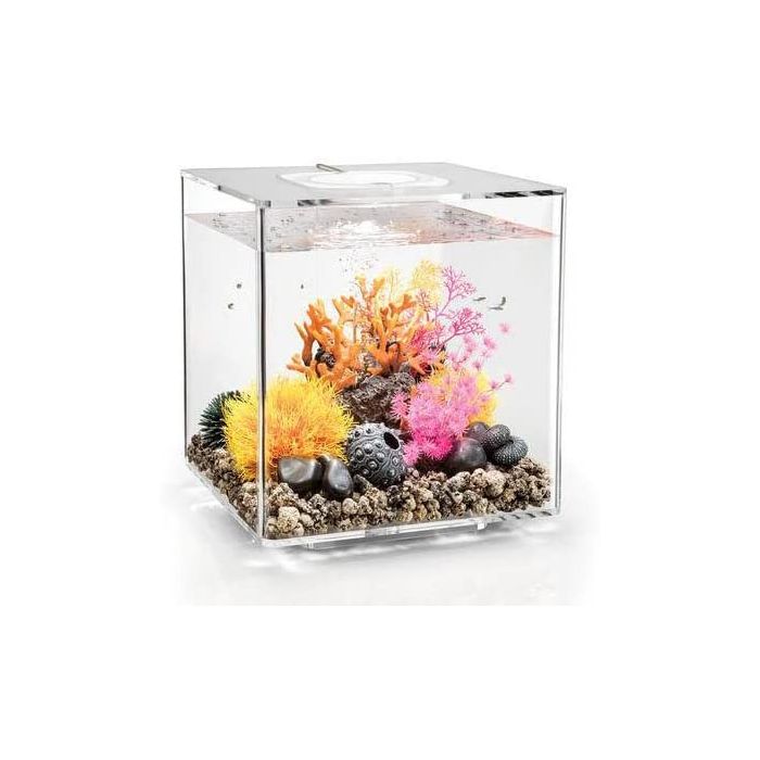 BiOrb Cube 30 LED Aquarium Blue Thumb 