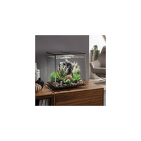 Thumbnail for BiOrb Cube 30 LED Aquarium Blue Thumb 