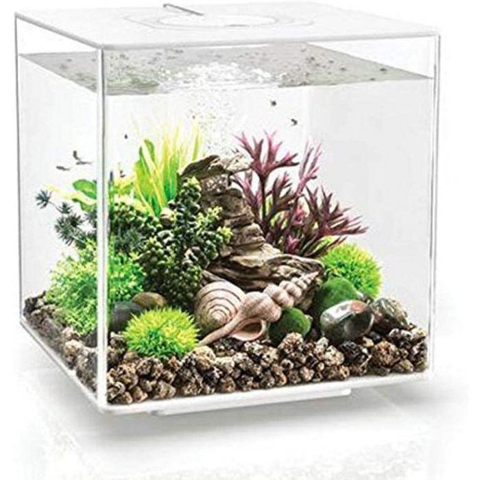BiOrb Cube 30 LED Aquarium Blue Thumb 